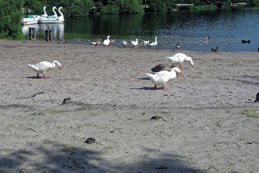 SP062016 (55).jpg